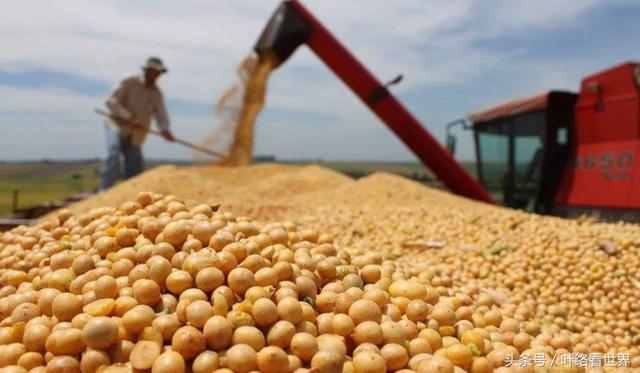 美國(guó)大豆出口大會(huì)閉幕，中國(guó)買家一顆沒(méi)買